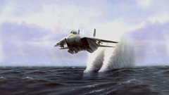 Aircraft fighter jets