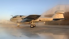 Aircraft Grumman Northrop Prowler