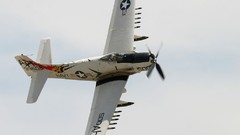Aircraft military A-1 Skyraider