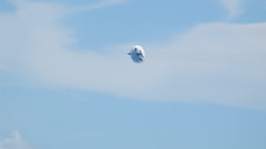 Aircraft military bomber planes