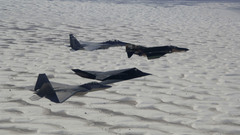 Aircraft military F-22 Raptor