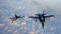 Aircraft military F18 Hornet