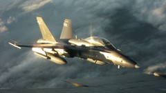 Aircraft military F18 Hornet