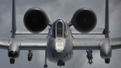 Aircraft military front warthog