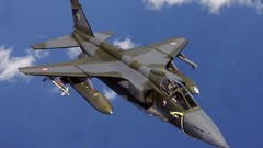 Aircraft military jaguar fighter