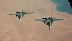 Aircraft military Navy f-14