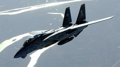 Aircraft military Navy f-14