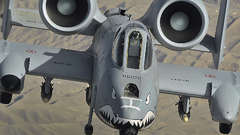 Aircraft military warthog A-10