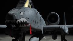 Aircraft military warthog Sharks