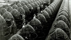 Aircraft national geographic manufacturing World War II b17