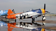 Aircraft Stunt historic