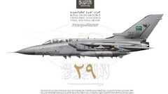 Aircraft tornado saudi arabia