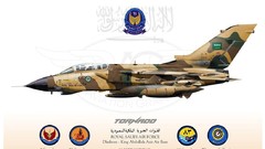 Aircraft tornado saudi arabia