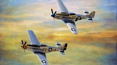 Aircraft twins P-51 Mustang P51 Mustang