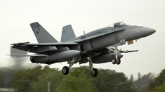 Aircraft vehicles f-18 hornet