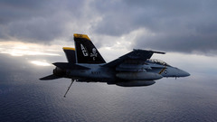 Aircraft vehicles f-18 hornet