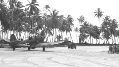 Aircraft War grayscale World