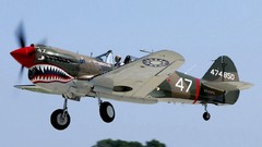 Aircraft Warbird P-40 Curtiss