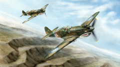 Aircraft World War II