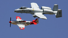 Aircrafts military p-51 mustang