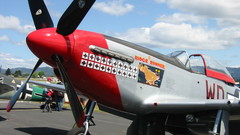 Aircrafts military p-51 mustang