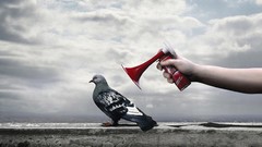 Airhorn Pigeons surprise