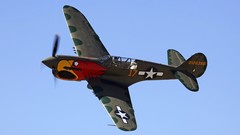 Airplanes Warhawk Curtiss P-40 Warbird
