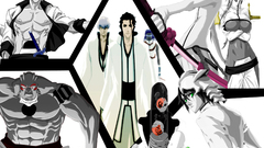 Aizen sousuke Szayel Aporro