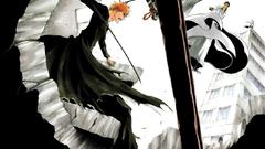 Aizen sousuke tousen Anime