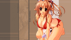 Akane-iro ni somaru saka