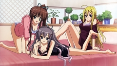 Akane-iro ni somaru saka