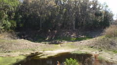 Alachua sink high military