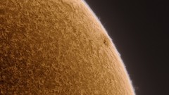 Alan friedman sun closeup