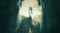 Album covers post-metal Shoegaze Alcest