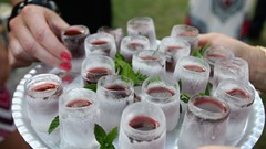 Alcohol drinks lifestyle