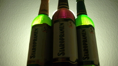 Alcohol drinks Staropramen