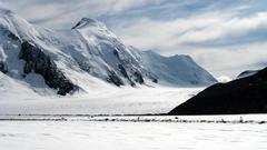 Aletschhorn from konkordiaplatz anyone