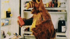 ALF freezer