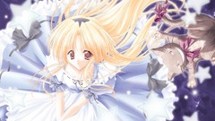 Alice in Wonderland cheshire