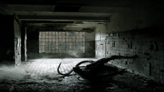 Alien alien vs predator