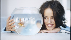 Alizée goldfish