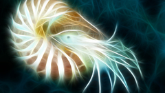 All but like ton feel Got dont posting