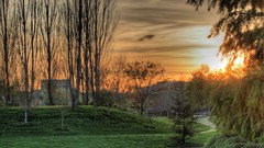 Alley evening nature
