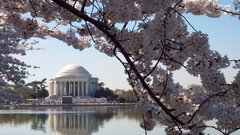 Almond washington monument