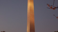 Almond washington monument