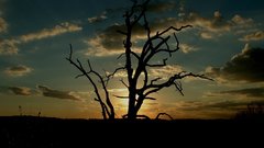 Alone sunset horizon nature