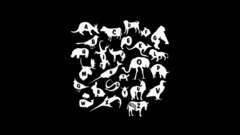 Alphabet zoo