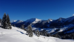 Alpine mountain nature