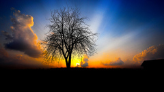 Alright that should Be