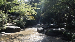 Also miyajima on The